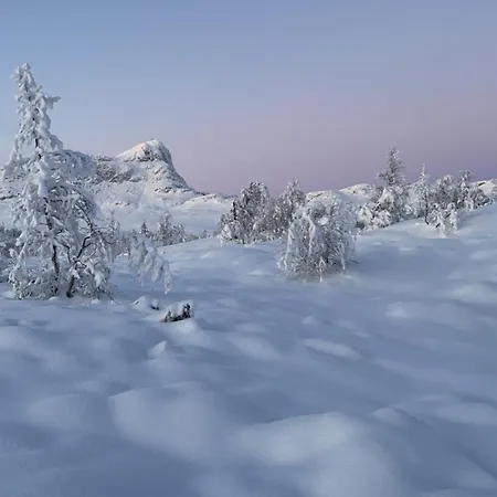 Mountain Escape With Modern Amenities Apartment