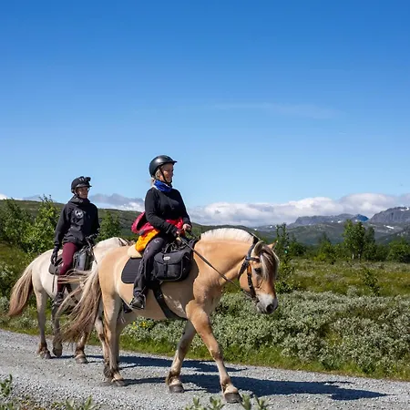Mountain Escape With Modern Amenities Beitostolen